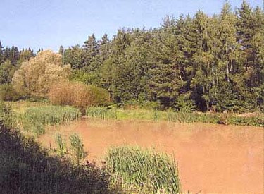 rybník u Zhoře